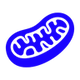 MITOPHAGY SUPPORT